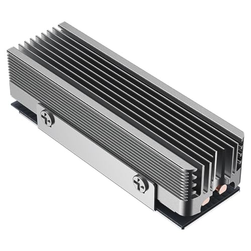 LOLPALONE M.2 SSD Kühlkörper 2280 Kühlkörper für M.2 NVMe 2280 SSD 2 Heizkörperrohre M.2 SSD Grau LOLPALONE M.2 SSD Kühlkörper 2280 Kühlkörper für M.2 NVMe 2280 SSD 2 Heizkörperrohre M.2 SSD Grau von LOLPALONE