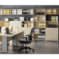 Büromöbel Set mit Schreibtisch 138cm breit ORLEANS-131 Büromöbel Set mit Schreibtisch 138cm breit ORLEANS-131 von LOMADOX