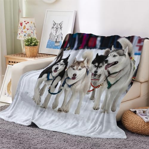 LOMAER Husky-Schlittenhund Geschenke für Frauen Kuscheldecke Super Weiche Doppel Decke Süße Tiere, Schnee Couch Bett Flauschige Blanket Für Sofa Bett Decke 150 x 200 cm Flanell Decke von LOMAER