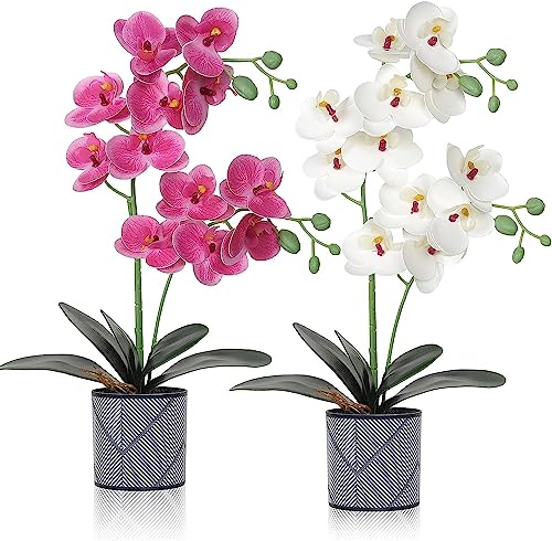 LOMOHOO Künstliche Orchideenblumen, 2 Stück eingetopfte Orchideenblüten Gefälschte Orchideen mit Plastikvase für Tischdekoration Wohnkultur Büro Hochzeitsfeier Dekoration (Lila & Weiß) von LOMOHOO