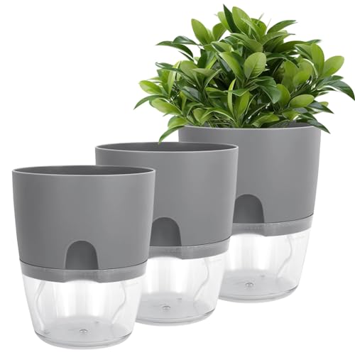 LOMUG Blumentopf 3 Stück Kräutertopf Küche Set Blumentöpfe Selbstbewässernd Kräutertopf Pflanzentopf mit Selbstbewässerung und Wasserspeicher Kräutergarten, Küche, Balkon, Schlafzimmer, Grau von LOMUG