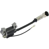 Rasenmähermotor elektronische Spule 1P61F 1P65F 1P70F LONCIN 270920215-0001 von LONCIN