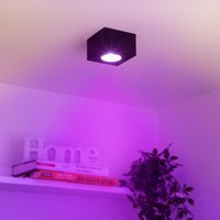 Flacher Aufbaustrahler eckig IP44 Deckenleuchte - Farbe: schwarz - LED Leuchtmittel: 5W RGB+CCT 230V dimmbar 60° Flacher Aufbaustrahler eckig IP44 Deckenleuchte - Farbe: schwarz - LED Leuchtmittel: 5W RGB+CCT 230V dimmbar 60° von LONGLIFE LED GMBH BY HK
