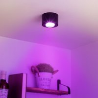 Flacher Aufbaustrahler rund schwenkbar Deckenleuchte - Farbe: schwarz - LED Leuchtmittel: 5W RGB+CCT 230V dimmbar 60° Flacher Aufbaustrahler rund schwenkbar Deckenleuchte - Farbe: schwarz - LED Leuchtmittel: 5W RGB+CCT 230V dimmbar 60° von LONGLIFE LED GMBH BY HK