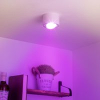 Flacher Aufbaustrahler rund schwenkbar Deckenleuchte - Farbe: weiß - LED Leuchtmittel: 5W RGB+CCT 230V dimmbar 60° Flacher Aufbaustrahler rund schwenkbar Deckenleuchte - Farbe: weiß - LED Leuchtmittel: 5W RGB+CCT 230V dimmbar 60° von LONGLIFE LED GMBH BY HK