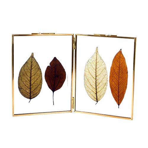 LONGWIN Gold Double 4x6 Faltbare schwimmende Bilderrahmen Vintage Square Brass Doppelseitige Glaspresse Blumen Artwork Zertifikatrahmen Pflanzen Probenclip von LONGWIN