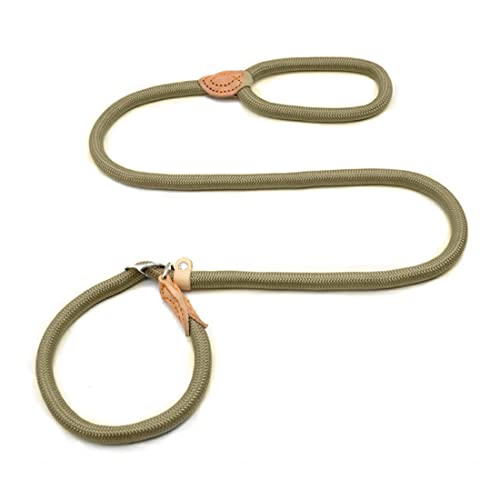 1 Stück Hundeleine Retrieverleine mit zugstopp Dauerhafte Weiche Geflochten mit Halsband Einstellbar Retriever Leinen für Kleine Mittlere und klein Hunde von LONSVTTU