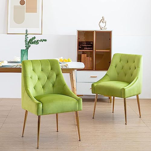 LONXIU Esszimmerstühle 2er Set, Samt Esszimmerstühle, Modern Küchenstuhl mit Metallbeinen, 13 cm Gepolsterter, für Küche Esszimmer, Wohnzimmer, Schlafzimmer (Gelbgrün) von LONXIU