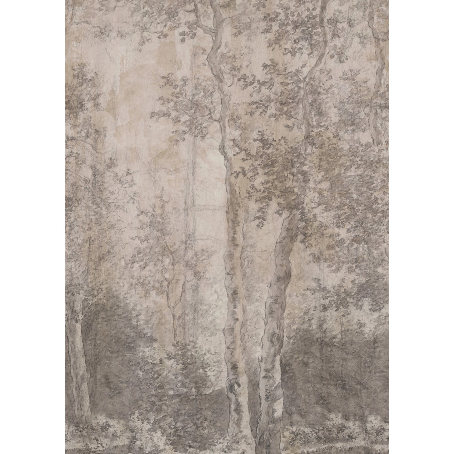LOOKS by Wolfgang Joop Fototapete Vlies Birchtrees Grau 2,7 m x 3 m FSC® von LOOKS by Wolfgang Joop