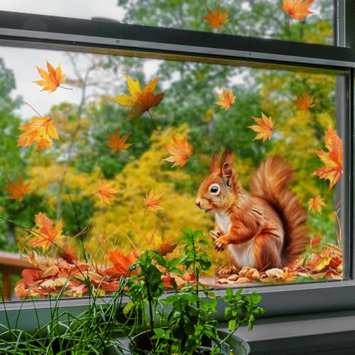 LOONELO Herbst-Ahornblatt-Fensteraufkleber, doppelseitig, rustikal, Eichhörnchen und Ernte, abnehmbare Thanksgiving-Glasaufkleber für Bauernhaus, Wohnzimmer, Schlafzimmer Dekor LOONELO Herbst-Ahornblatt-Fensteraufkleber, doppelseitig, rustikal, Eichhörnchen und Ernte, abnehmbare Thanksgiving-Glasaufkleber für Bauernhaus, Wohnzimmer, Schlafzimmer Dekor von LOONELO