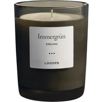 Duftkerze Immergrün 250 g von LOOOPS