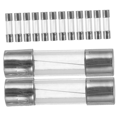 LOORGVEL 100 Stück Glasrohrsicherung für Weihnachtsbeleuchtung Schnelle Sicherung Transparentes Glasgehäuse Zuverlässiger Schutz bei Überlast und Stromausfall Einsetzbar von LOORGVEL