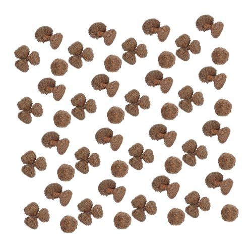 LOORGVEL 100 Stück Teiliges Set Natürliche Schalen Deko für Herbstbasteln Umweltfreundliche Acorn Shells als Vase Füller für Weihnachtsbaumdeko DIY Herbst und Hochzeitsdekoration LOORGVEL 100 Stück Teiliges Set Natürliche Schalen Deko für Herbstbasteln Umweltfreundliche Acorn Shells als Vase Füller für Weihnachtsbaumdeko DIY Herbst und Hochzeitsdekoration von LOORGVEL