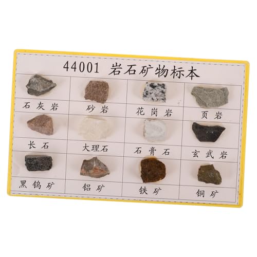 LOORGVEL 12 Stck. Teiliges Mineralien-gesteinsproben- Anschauliche Felsen-klassenzimmer-display Vielseitig Einsetzbar für Sammlung Unterricht und Labor mit Erkennbarer Oberflächenstruktur von LOORGVEL