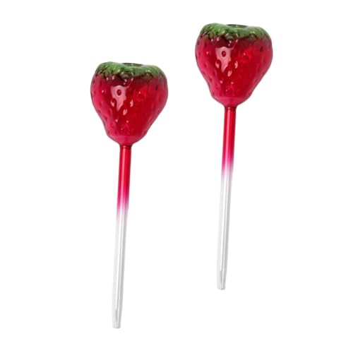 LOORGVEL 2 Stück Bewässerungssystem Für Zimmerpflanzen Glas Bewässerungskugeln Pflanzenzwiebeln Zum Bewässern Automatische Bewässerungsspikes Selbstbewässernde Spikes Selbstzuführende von LOORGVEL