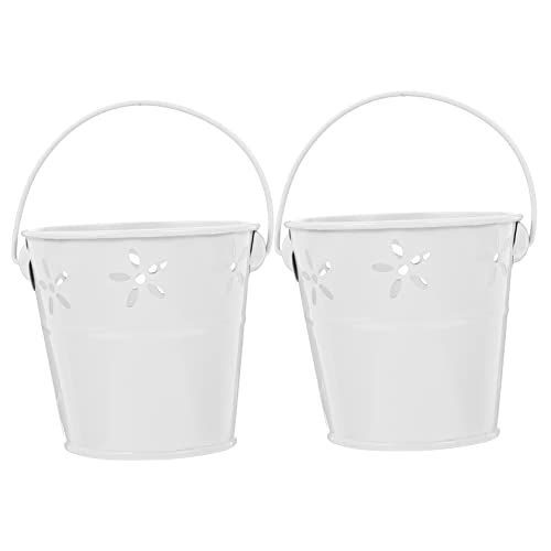 LOORGVEL 2 Stück Blumentopf Teilig mit Hohlmuster Retro Garten Deko Robuste Eimer für Sukkulenten Desktop Organizer und Party Weiß LOORGVEL 2 Stück Blumentopf Teilig mit Hohlmuster Retro Garten Deko Robuste Eimer für Sukkulenten Desktop Organizer und Party Weiß von LOORGVEL