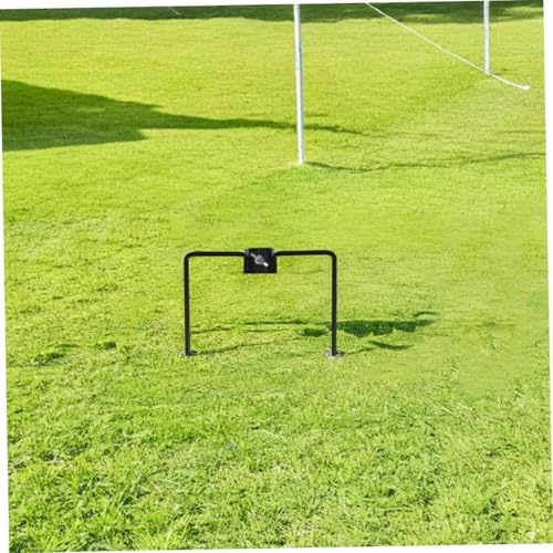 LOORGVEL 2 Stück Robuste Eisen Erdspieße für Gartenflaggen Sonnenschirme und Fackeln Universeller Outdoor Stabilisator für Rohre Wetterfester Halter für Garten Terrasse und von LOORGVEL