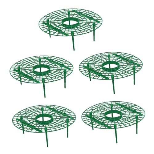 LOORGVEL 2 Stück Teiliges Pflanzenklettergestell aus Erdbeer Rankstütze für Garten und Balkon Langlebiger Pflanzenträger für Saubere Früchte Einfache Anwendung Robustes Klettergerüst für von LOORGVEL