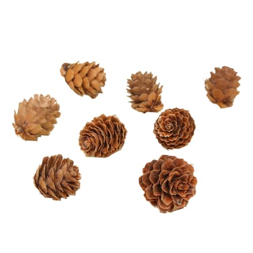 LOORGVEL 210 Stück Mini Natur Zapfen Natürliche Pinienzapfen Deko für Weihnachten Herbst DIY Basteln Tischvase Füllung Rustikale Weihnachtsbaum Dekoration LOORGVEL 210 Stück Mini Natur Zapfen Natürliche Pinienzapfen Deko für Weihnachten Herbst DIY Basteln Tischvase Füllung Rustikale Weihnachtsbaum Dekoration von LOORGVEL