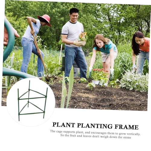 LOORGVEL 3 Sätze Teiliges Pflanzengestell aus Metall und Kunststoff Einfach zu Montierendes Gemüse rankgitter für Tomaten Gurken Bohnen Stabiles Klettergerüst für Vertikales Wachstum im LOORGVEL 3 Sätze Teiliges Pflanzengestell aus Metall und Kunststoff Einfach zu Montierendes Gemüse rankgitter für Tomaten Gurken Bohnen Stabiles Klettergerüst für Vertikales Wachstum im von LOORGVEL