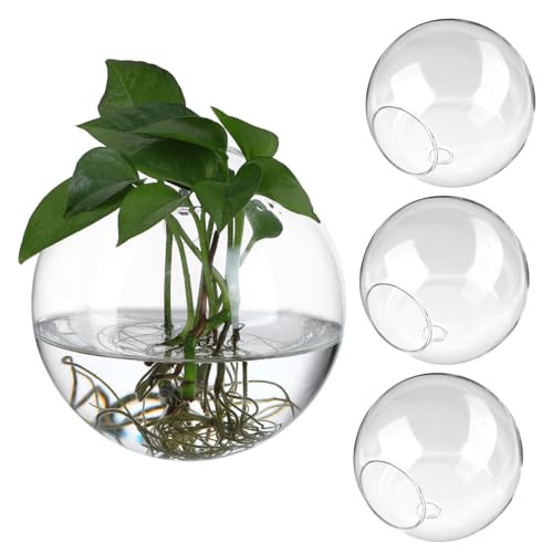 LOORGVEL 4 Stück Hängende Glas Vasen Wandpflanzgefäße Propagation Station Terrarium Halter für Zimmerpflanzen Wohnraumdeko Wohnzimmer Büro LOORGVEL 4 Stück Hängende Glas Vasen Wandpflanzgefäße Propagation Station Terrarium Halter für Zimmerpflanzen Wohnraumdeko Wohnzimmer Büro von LOORGVEL