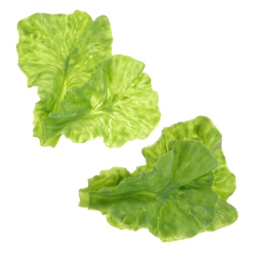 LOORGVEL 4 Stück Lebensechte Salatblatt Modelle PVC Realistische Simulation Gemüse Dekoration für Küche Restaurant und Langlebig Pflegeleicht Tragbar Natürlicher Look ohne Wartung LOORGVEL 4 Stück Lebensechte Salatblatt Modelle PVC Realistische Simulation Gemüse Dekoration für Küche Restaurant und Langlebig Pflegeleicht Tragbar Natürlicher Look ohne Wartung von LOORGVEL