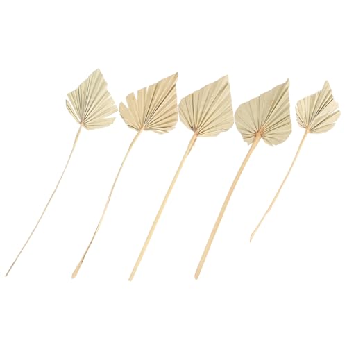 LOORGVEL 5 Stück Natürliche Getrocknete Palmblätter Dekoration Hochzeit Party Tischdeko Boho Style Rustikal für Wohnzimmer Fotorequisiten und Veranstaltungsdekor LOORGVEL 5 Stück Natürliche Getrocknete Palmblätter Dekoration Hochzeit Party Tischdeko Boho Style Rustikal für Wohnzimmer Fotorequisiten und Veranstaltungsdekor von LOORGVEL