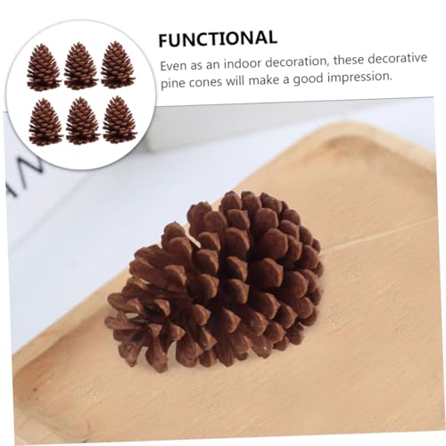 LOORGVEL 6 Stück Teiliges Getrockneter Natur Pinienzapfen Deko mit Klassischem Design Vielseitig für Weihnachtsbaum Wand Möbel und Fenster Geeignet für Wohnzimmer und Büro Platzsparend und von LOORGVEL