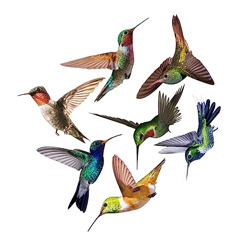 LOORGVEL 7 Stück Teiliges Hummingbird Wandtattoo Selbstklebende Vogelsticker für Fenster Türen und Wände Dekorative Glasaufkleber für Wohnzimmer und Schlafzimmer LOORGVEL 7 Stück Teiliges Hummingbird Wandtattoo Selbstklebende Vogelsticker für Fenster Türen und Wände Dekorative Glasaufkleber für Wohnzimmer und Schlafzimmer von LOORGVEL