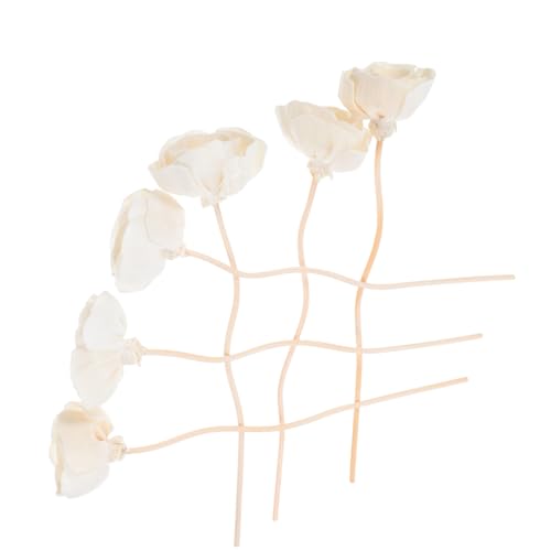 LOORGVEL 8 Stück Aromatherapie Rattanstäbchen mit Blumenmotiv Duftstäbchen für Ätherische Öle Raumduft und Wohnraumdekoration Natürlicher Duftverstärker LOORGVEL 8 Stück Aromatherapie Rattanstäbchen mit Blumenmotiv Duftstäbchen für Ätherische Öle Raumduft und Wohnraumdekoration Natürlicher Duftverstärker von LOORGVEL