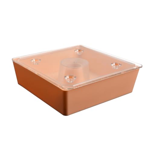 LOORGVEL Bienen Wassertränke und Futterstation aus Kunststoff Zubehör für Bienenzucht Leicht zu Reinigen und Installieren für Garten und von LOORGVEL