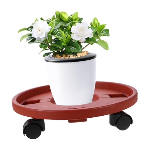 LOORGVEL Blumentopf Wagen mit Drehbaren Rädern Verstärktes Pflanzentablett für Balkon und Garten Runder Pflanzentopfroller mit Stabilem Transport und Schutz vor Wasseraustritt LOORGVEL Blumentopf Wagen mit Drehbaren Rädern Verstärktes Pflanzentablett für Balkon und Garten Runder Pflanzentopfroller mit Stabilem Transport und Schutz vor Wasseraustritt von LOORGVEL