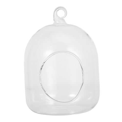 LOORGVEL Dekoratives Glasflaschen Terrarium Kleines DIY Moos und Sukkulenten Mikrolandschaftsglas Pflegeleichtes Mini Pflanzengefäß für Büro und Wohnraumdekoration von LOORGVEL