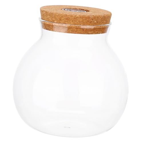 LOORGVEL Glas-Terrarium mit Korkdeckel Hydroponische Pflanzvase mit Led-licht Rundes Durchsichtiges Glasgefäß Mini-Landschaft Flasche für Zimmerpflanzen und DIY-Dekoration von LOORGVEL