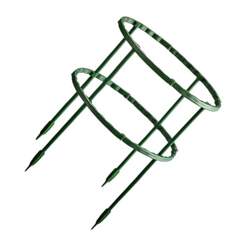 LOORGVEL Grüner Pflanzenhalter Rankhilfe aus Robustem für Kletterpflanzen und Crab Cactus Hohe Doppelschichtige Stütze für Individuelles Pflanzenwachstum im Garten und Zuhause LOORGVEL Grüner Pflanzenhalter Rankhilfe aus Robustem für Kletterpflanzen und Crab Cactus Hohe Doppelschichtige Stütze für Individuelles Pflanzenwachstum im Garten und Zuhause von LOORGVEL
