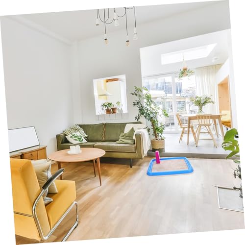 LOORGVEL Hundetoilette mit Rutschfestem Mesh Robustes Hundeklo tablett für Welpentraining Abnehmbar und Leicht zu Reinigen Geeignet für Kleine und Große Hunde Hygienische Zufällige Farbe LOORGVEL Hundetoilette mit Rutschfestem Mesh Robustes Hundeklo tablett für Welpentraining Abnehmbar und Leicht zu Reinigen Geeignet für Kleine und Große Hunde Hygienische Zufällige Farbe von LOORGVEL