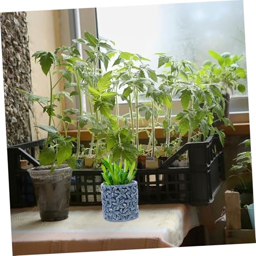 LOORGVEL Keramik Blumentopf Muschel Design mit Ablauflöchern Sukkulenten Pflanzschale für Innen Außen Kleiner Bunter Übertopf für Bonsai und Zimmerpflanzen Dekorativer Meeresschalen von LOORGVEL