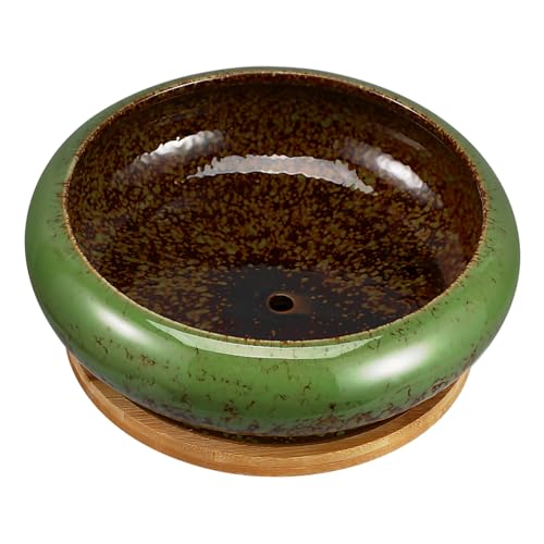 LOORGVEL Keramik Sukkulenten Pflanzschale mit Abfluss Flacher Bonsai Übertopf für Zimmerpflanzen und Garten Dekorativer Runder Terrakotta Kaktus Blumentopf mit Drainage Tablett von LOORGVEL
