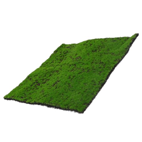 LOORGVEL Künstliche Grasmatte Realistische Farbe Langlebig Wetterfest Landschaft Deko für Garten Terrasse Balkon DIY Wohnraumgestaltung von LOORGVEL