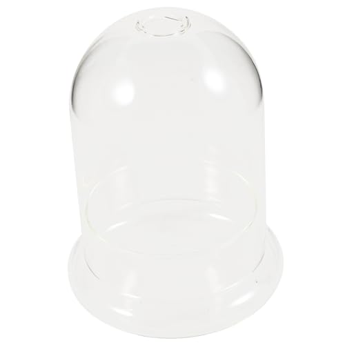 LOORGVEL Micro Landscape DIY Glasflasche mit Großer Öffnung Ökologische Terrarium Vase Dekorative Glasglocke für Pflanzen und Blumen Kompakte Deko für Wohnzimmer Balkon und Büro LOORGVEL Micro Landscape DIY Glasflasche mit Großer Öffnung Ökologische Terrarium Vase Dekorative Glasglocke für Pflanzen und Blumen Kompakte Deko für Wohnzimmer Balkon und Büro von LOORGVEL