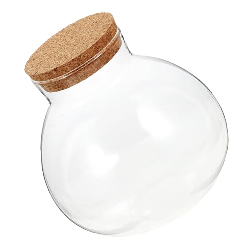 LOORGVEL Ökologische Mikrolandschaftsflasche Einmachglas ökologische Glasflasche Vermehrungstopf Knospenvase Landschaft Flasche saftiges Glas dekoratives Glas Tabelle Vase Kork Transparent von LOORGVEL