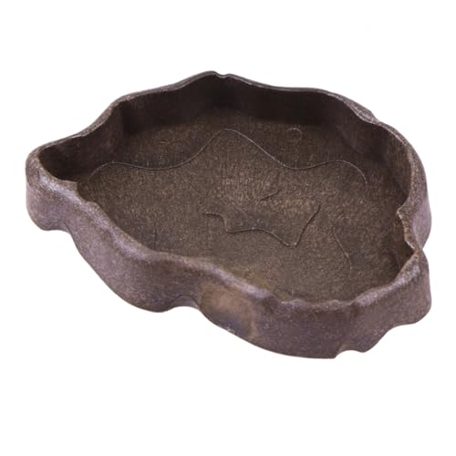 LOORGVEL Reptilien Futterschale aus Robustem Harz Kleine Wasserschale und Trinkschale für Landschildkröten Eidechsen Frösche und Kleine Reptilien Praktische Trinkschale für Terrarien in von LOORGVEL