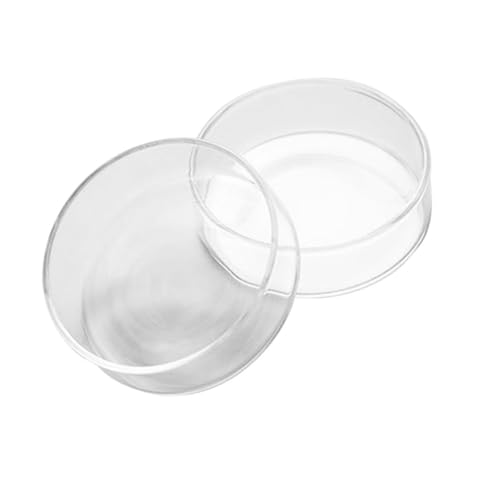 LOORGVEL Transparente Mini Glasplatte Servierplatte für Salate und Desserts Glatte Oberfläche Vielseitig Einsetzbar als Obst und Kuchenteller für Partys Familienessen und Festliche Anlässe LOORGVEL Transparente Mini Glasplatte Servierplatte für Salate und Desserts Glatte Oberfläche Vielseitig Einsetzbar als Obst und Kuchenteller für Partys Familienessen und Festliche Anlässe von LOORGVEL