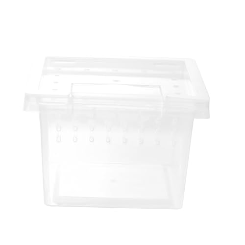 LOORGVEL Transparente Reptilien Futterbox aus Robustem Kunststoff mit Belüftungslöchern Leicht und Kompakt als Flucht und Aufbewahrungsbox für Spinnen Geckos Schlangen und Insekten von LOORGVEL