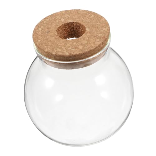 LOORGVEL Transparente Runde Hydroponik Glasflasche mit Korkverschluss Vielseitiges DIY Pflanzen Terrarium für Farn Moos Sukkulenten und Luftpflanzen Dekorative Vase für Büro und Zuhause LOORGVEL Transparente Runde Hydroponik Glasflasche mit Korkverschluss Vielseitiges DIY Pflanzen Terrarium für Farn Moos Sukkulenten und Luftpflanzen Dekorative Vase für Büro und Zuhause von LOORGVEL