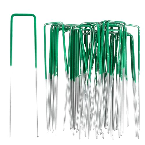 LOPYXBR 100 Stück Grüne Erdanker 150mm lang, 40mm breit, Durchmesser 3mm Verzinktes Eisen Heringe Erdnägel Stabil Krampen für Kränze Efeunadeln Erdhaken für Sichere Gartenmembran, Netz und Zelt LOPYXBR 100 Stück Grüne Erdanker 150mm lang, 40mm breit, Durchmesser 3mm Verzinktes Eisen Heringe Erdnägel Stabil Krampen für Kränze Efeunadeln Erdhaken für Sichere Gartenmembran, Netz und Zelt von LOPYXBR