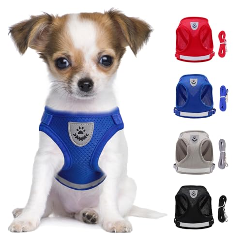 LOS ANDES Hundegeschirr mit Leine, Katzengeschirr, Reflektierend Weich Gepolstert Hunde Geschirr, Air-Mesh Brustgeschirr für Welpen Kleine Hunde Katzen, XS, Blau, Gestreift von LOS ANDES
