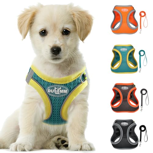 LOS ANDES Hundegeschirr mit Leine, Reflektierend Weich Gepolstert Katzengeschirr, Air-Mesh für kleine Hunde und Katzen, XS (Brust: 32-36cm), Blue von LOS ANDES