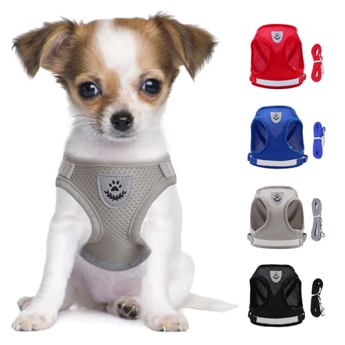 LOS ANDES Hundegeschirr & Katzengeschirr, Reflektierend, Weich Gepolstert, Air-Mesh Brustgeschirr für Kleine Hunde & Katzen, XS (Brust: 24-27cm), Grau, Gestreift von LOS ANDES