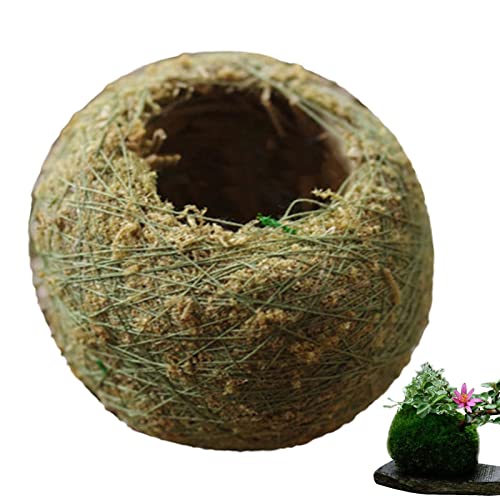LOSOO Mooskugel-Pflanzgefäß - Mooskugel Blumentopf | Kleine Luftpflanzen, lebende Zimmerpflanzen für den Außen- und Innenbereich, Mooskugeln, dekorativ von LOSOO